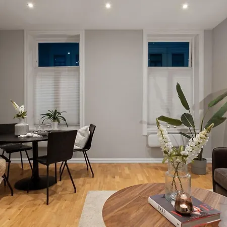 Apartment And Modern